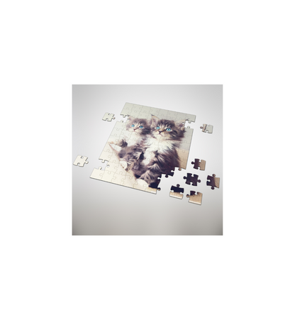 Puzzles