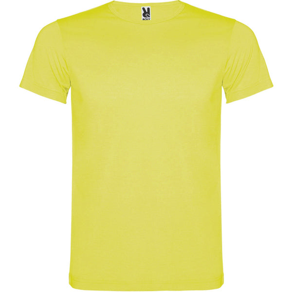Camiseta AKITA