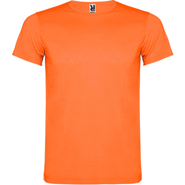 Camiseta AKITA