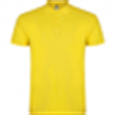 Polo STAR