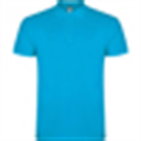 Polo STAR