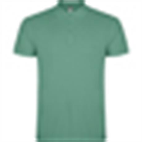 Polo STAR