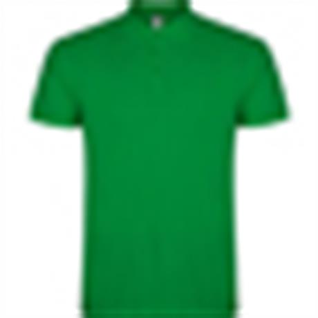 Polo STAR