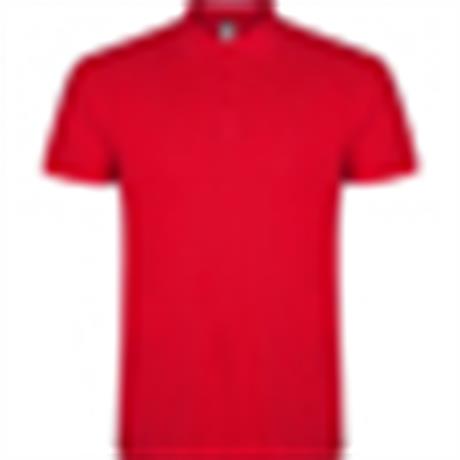 Polo STAR