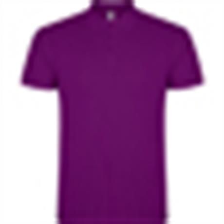 Polo STAR