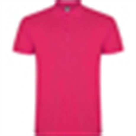 Polo STAR