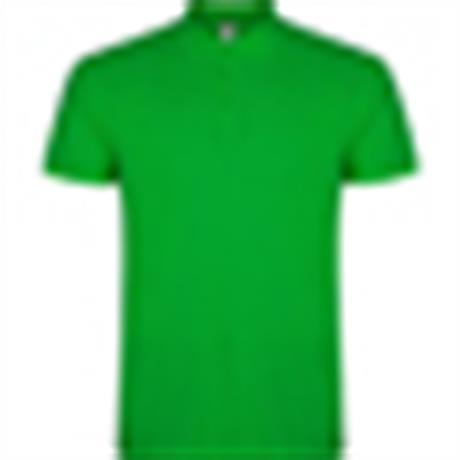 Polo STAR