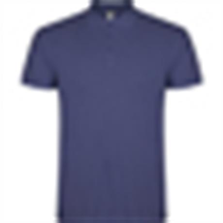 Polo STAR