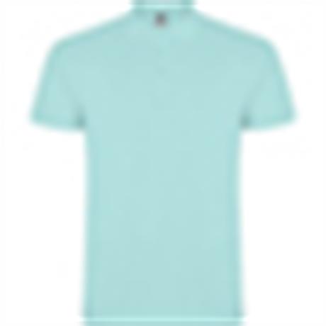 Polo STAR