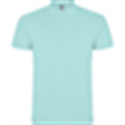 Polo STAR