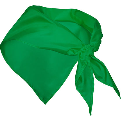 Pañuelos FESTERO