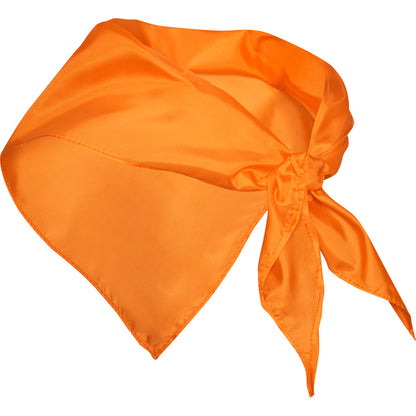 Pañuelos FESTERO