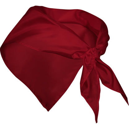 Pañuelos FESTERO